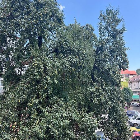 Hotel Dulovic Mojkovac Zewnętrze zdjęcie
