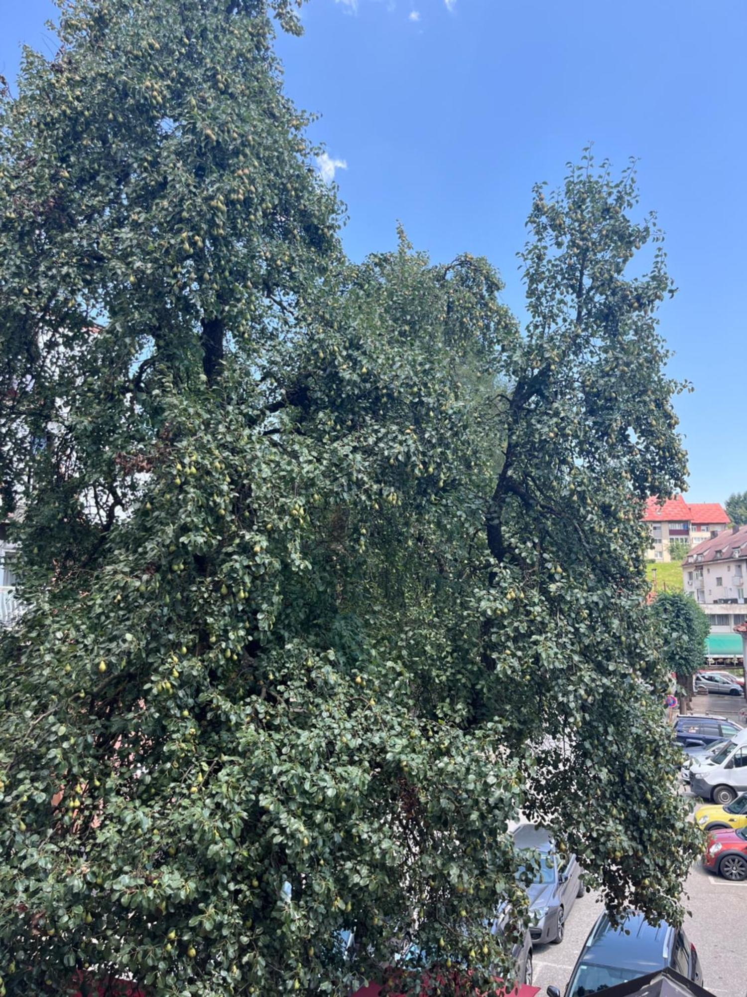 Hotel Dulovic Mojkovac Zewnętrze zdjęcie
